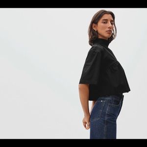 Everlane Tiered Mock Neck Top
